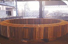 description of image