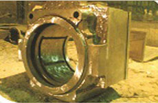 description of image